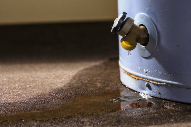 Water damage restoration experts in IA