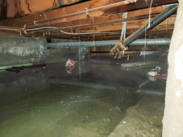 Best Water damage restoration near me  in Des Moines, IA