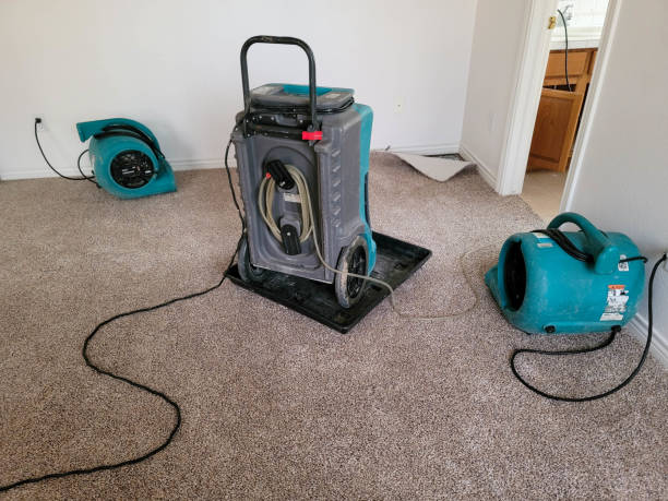 Best Ceiling water damage repair  in Des Moines, IA