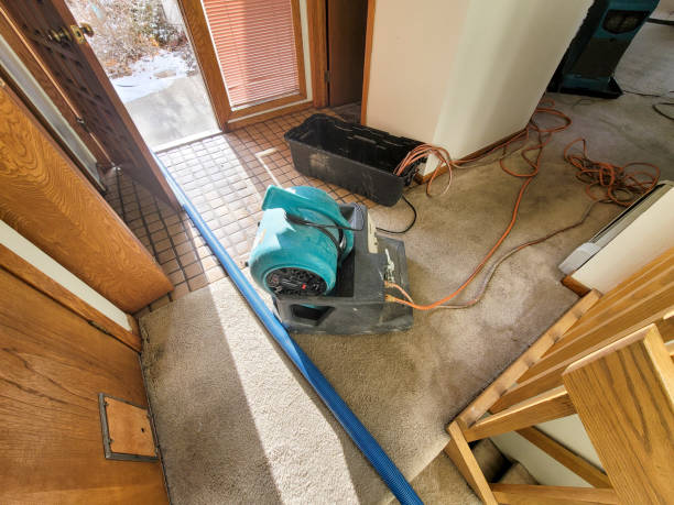 Best Flood damage cleanup  in Des Moines, IA