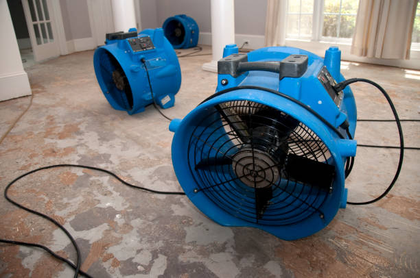 Best Water damage restoration experts  in Des Moines, IA