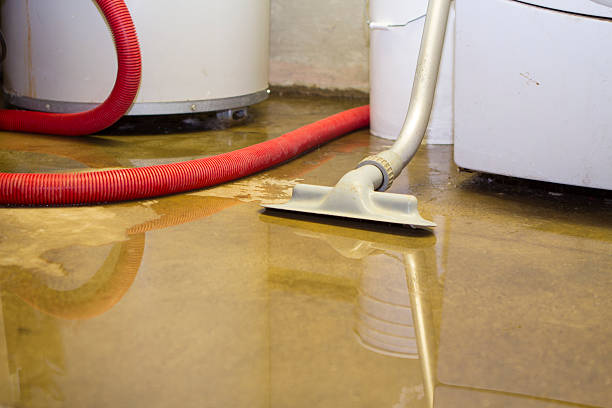 Step-by-Step Water Damage Restoration Procedure