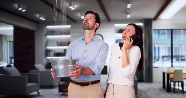 Best Professional water damage repair  in Des Moines, IA